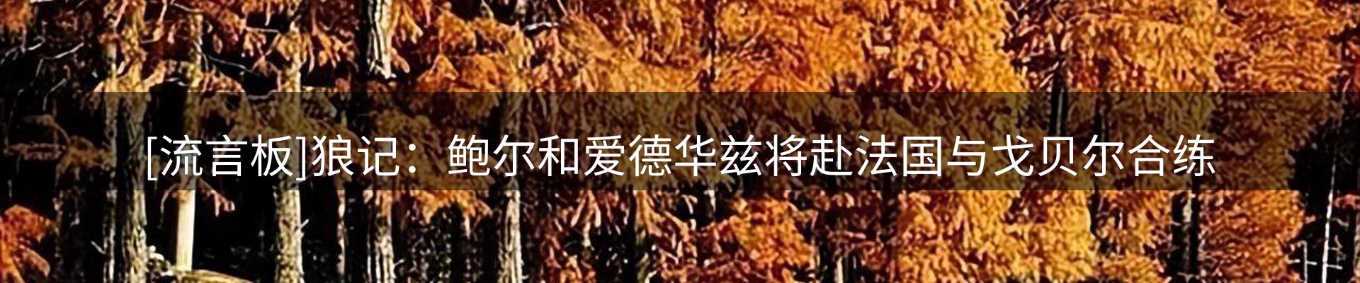 最新动态